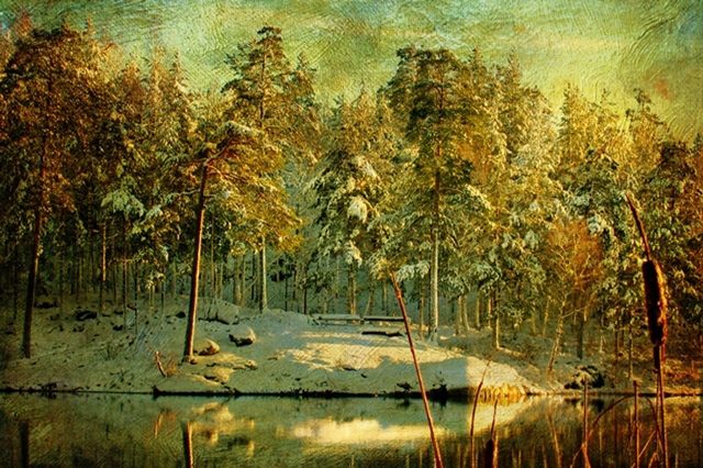 зимнее утро 