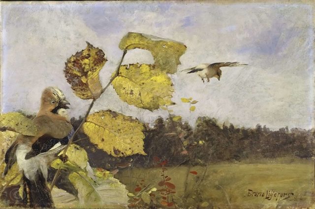 Сойки