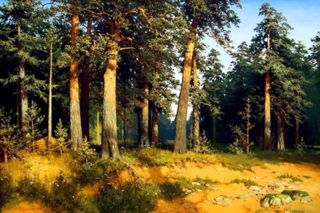 в лучах солнца 