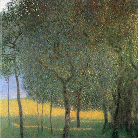 Fruit Trees, 1901