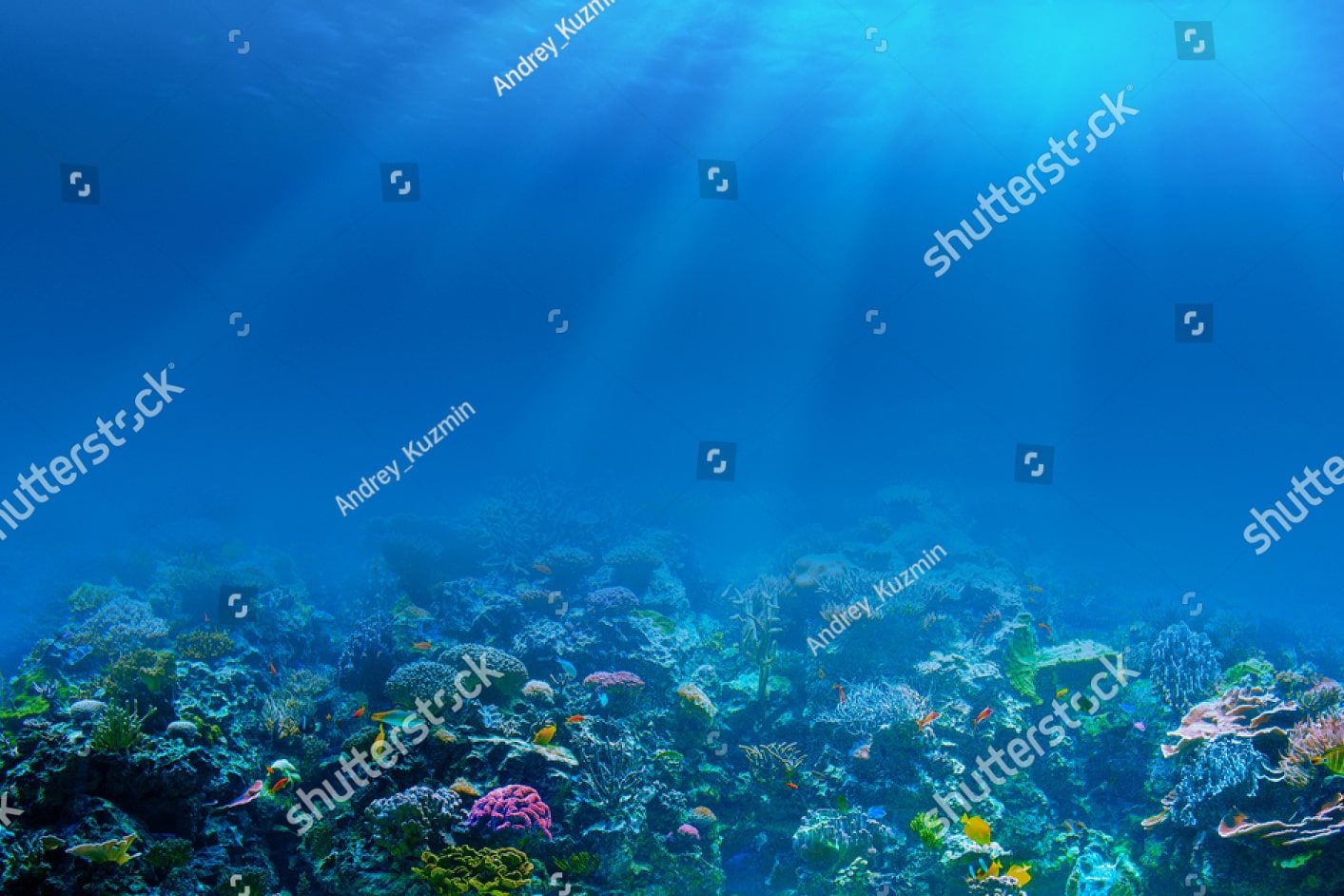 Кораллы и водоросли