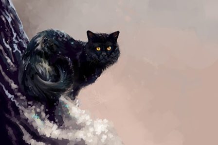 черный котик