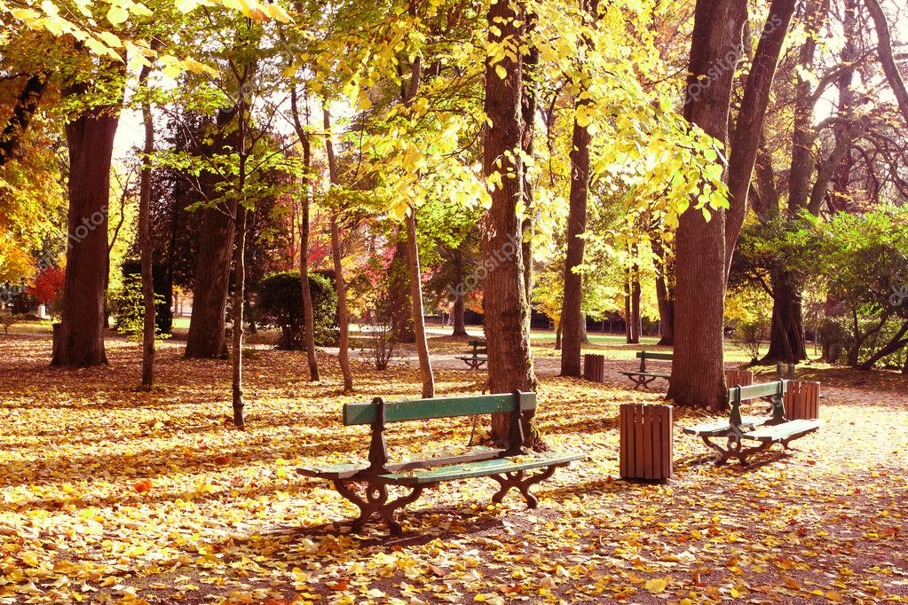 осенний московский парк