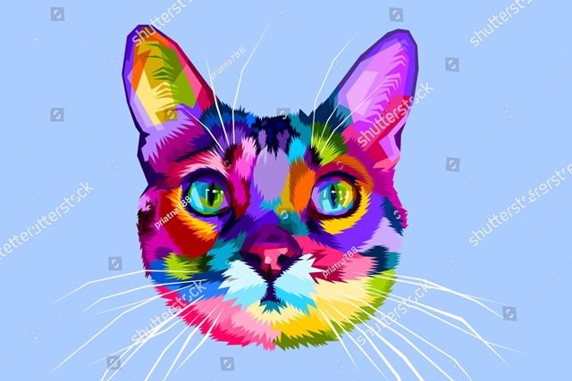 разноцветный котик 
