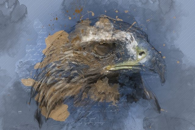 силуэт орла 