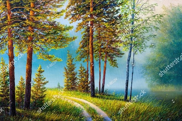 солнечная тропинка 