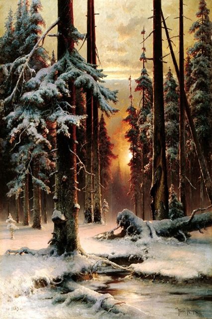 Зимний закат в еловом лесу