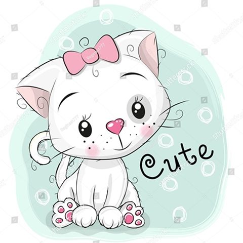 котик с розовым бантиком