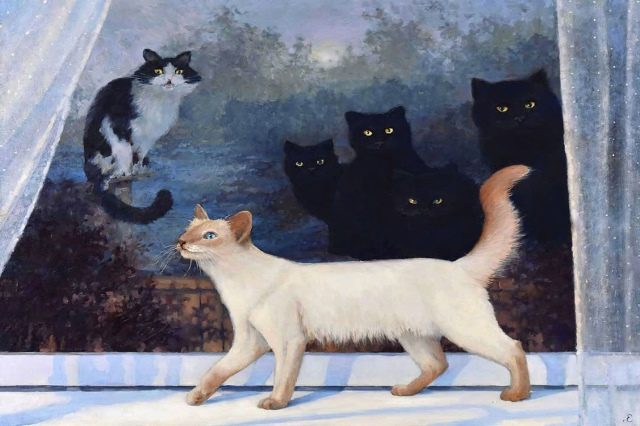 коты следят за кошкой 