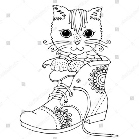 котик в ботиночке