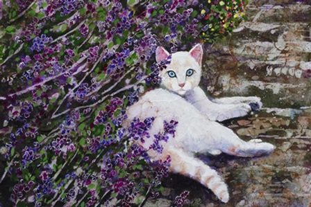белоснежная кошечка