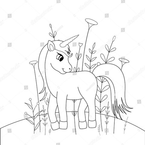 единорог 8