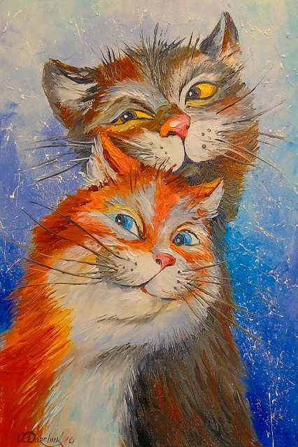 пара котиков 