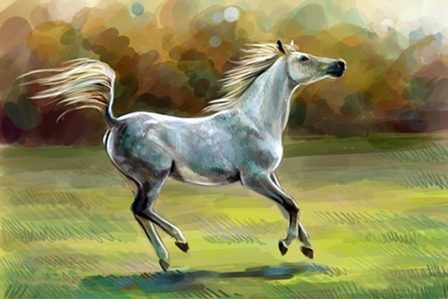 белая лошадь