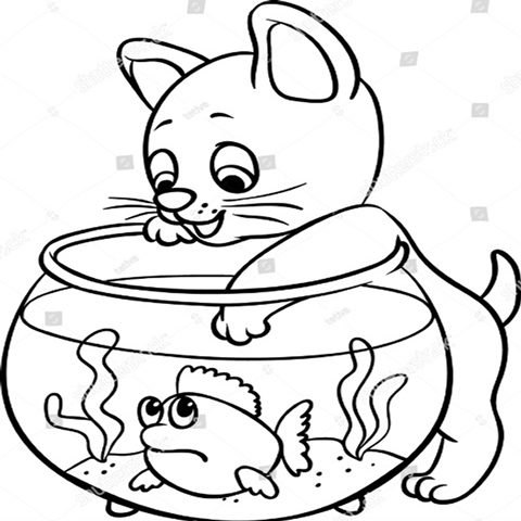 котенок и рыбка