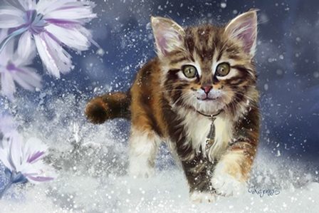 котенок в снегу