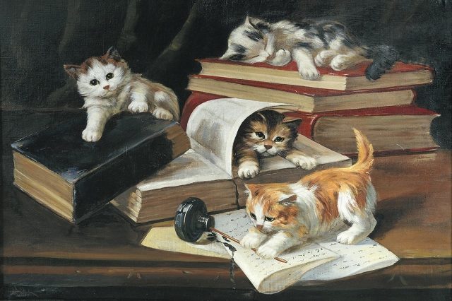 котята играют на письменном столе 