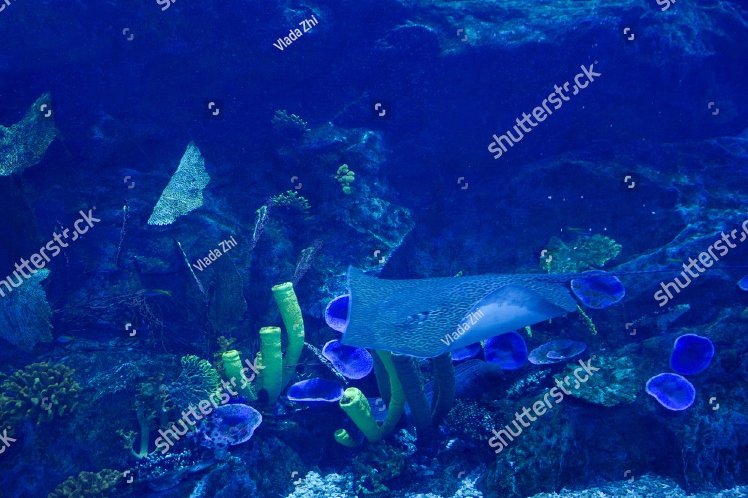 Морской дьявол