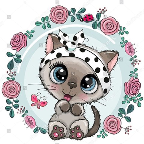 котенок в повязочке