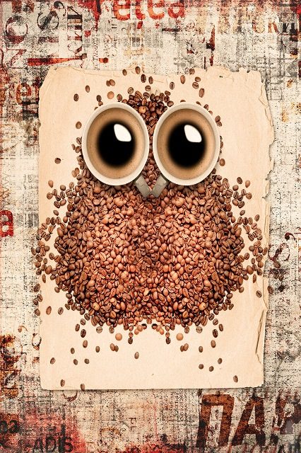 кофейная сова 