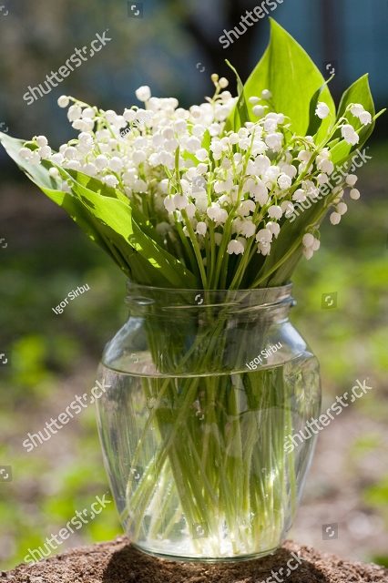 Ландыши в стеклянной вазе