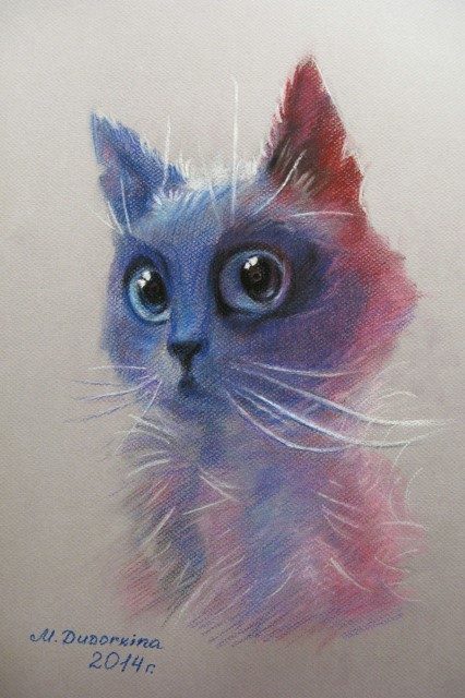 красивый котик 