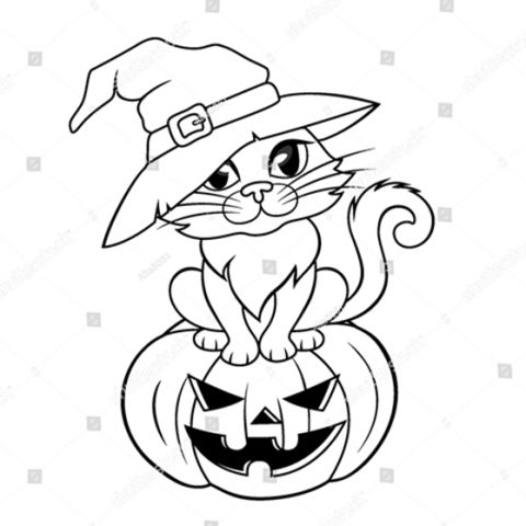 котик и светильник джека