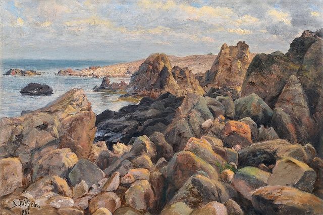   COASTAL VIEW