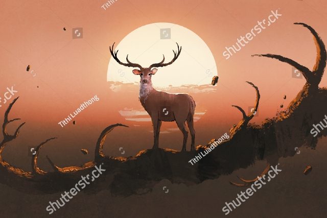 олень и закат 