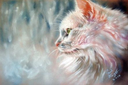 кошка смотрит в окно