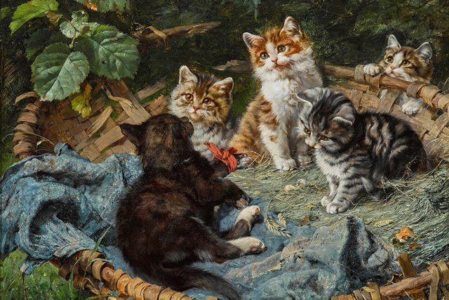 корзинка с котятами