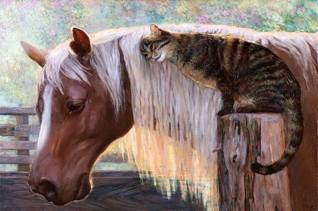 лошадь и котик 
