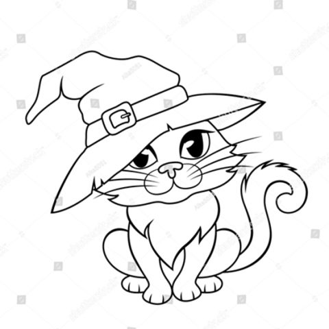 котик в ведьминой шляпке