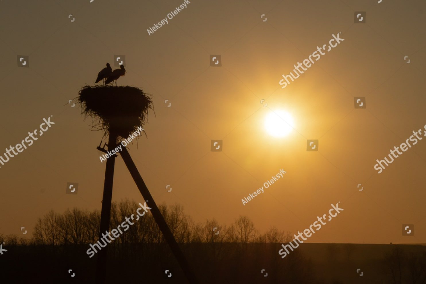 два аиста и закат