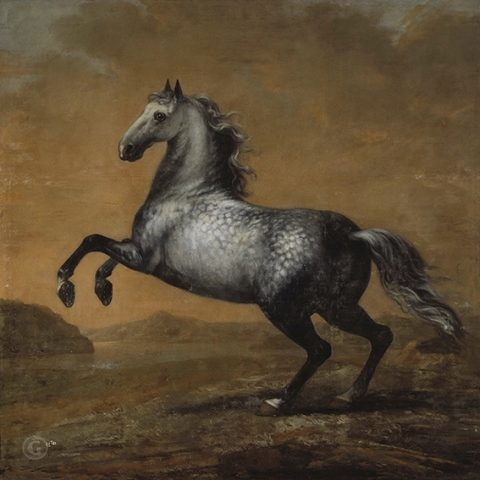 Лошадь Карла XI — Маленький англичанин