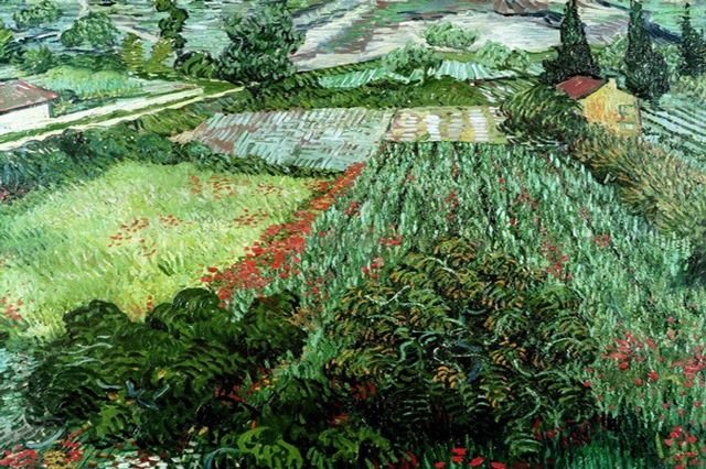 Поле с маками