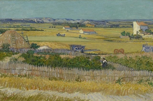Сбор урожая