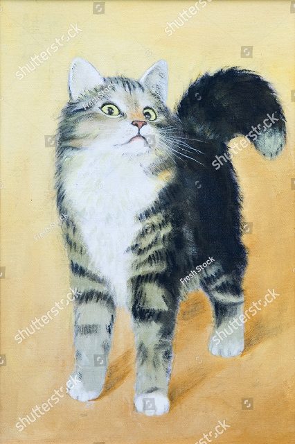 домашний котик 