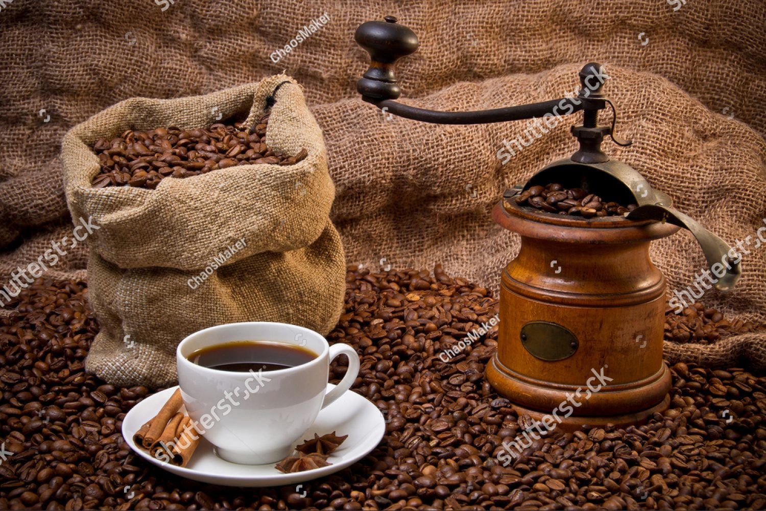 Арабика