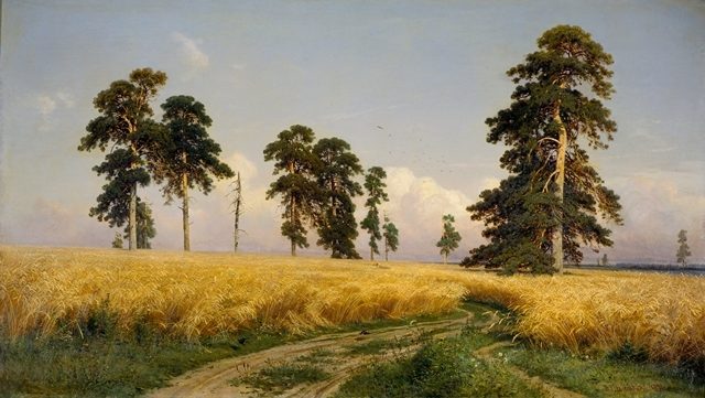 поле ржи 