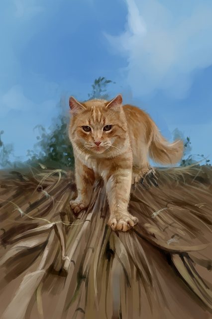 кот на охоте 