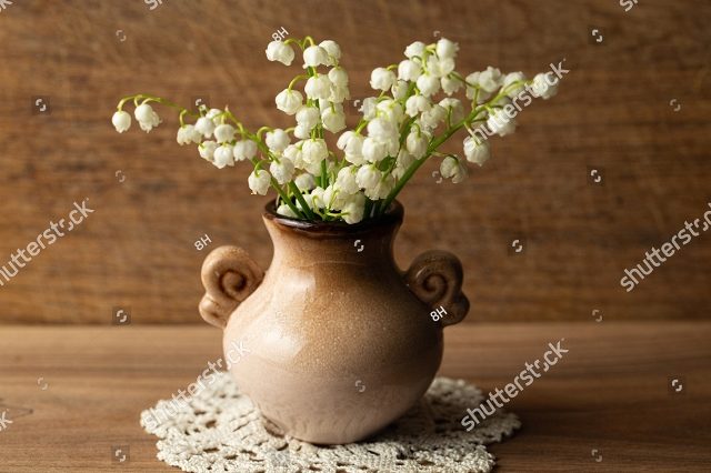 Ландыши в глинянной вазе