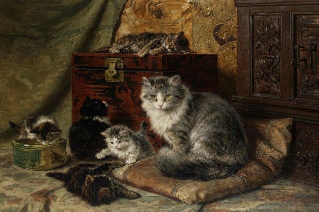 кошечка и ее котята 