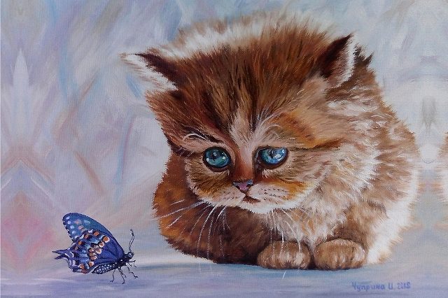 котенок и бабочка 