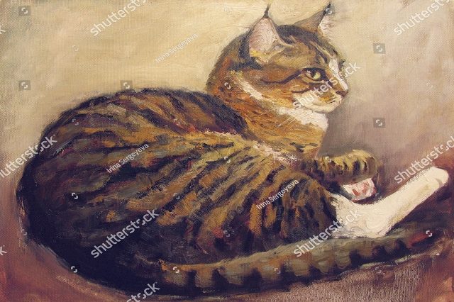 полосатый кот 